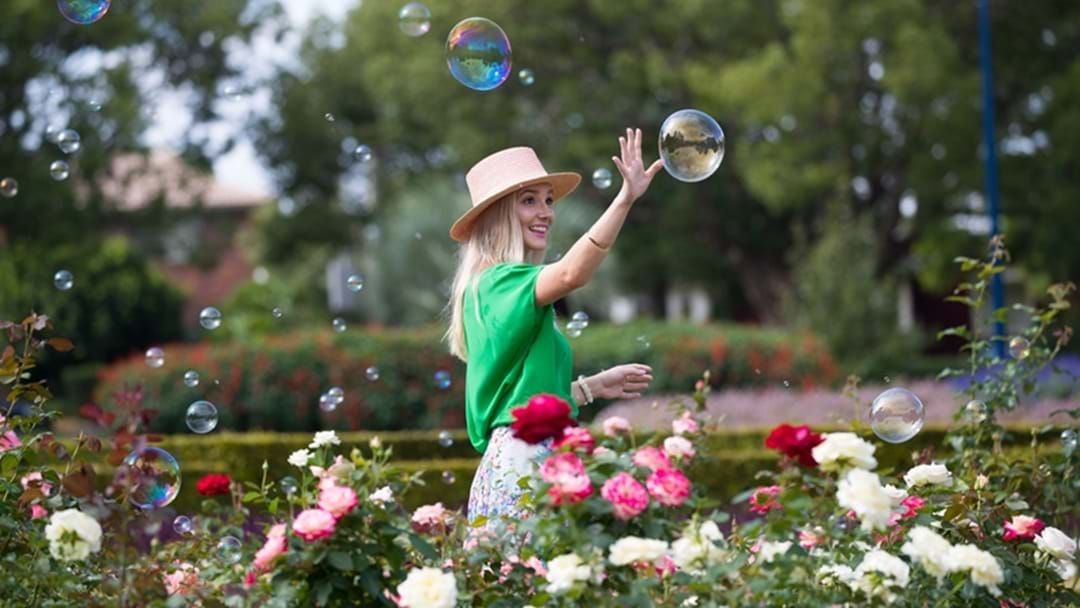 Article heading image for The Power of the Flower, 70th Toowoomba Carnival of Flowers has Launched