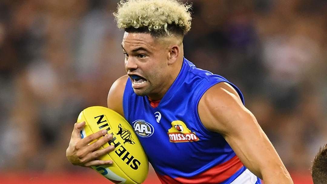 Article heading image for Johannisen Re-Signs With Bulldogs
