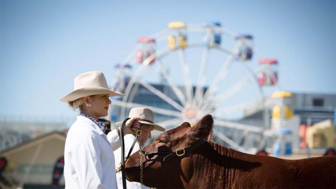 Article heading image for Here's Your Transport Guide For Getting To The Ekka This Year 