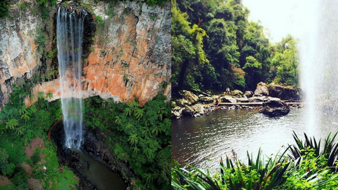 Article heading image for How To Make The Most Of A Day In The Gold Coast Hinterland
