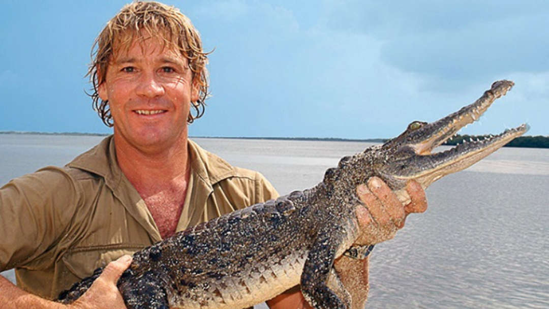 Article heading image for "I Knew It Was All Over" Marine Expert Jamie Seymour Relives The Day Steve Irwin Passed 14 Years Ago