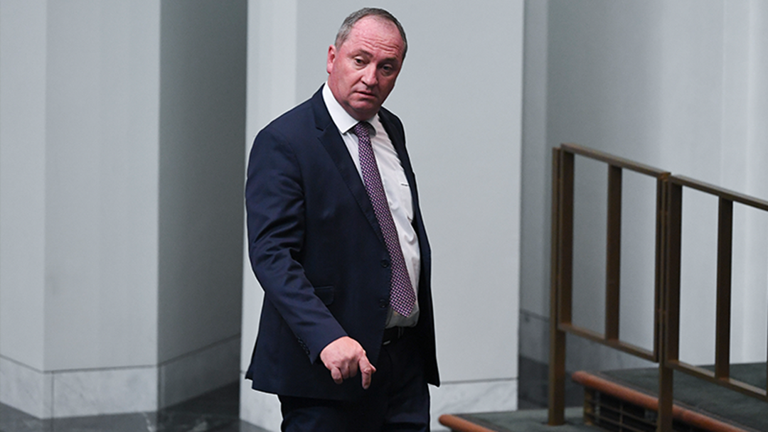 Article heading image for "That's Only $4057 A Week... How Will He Make Ends Meet" | Listen To Moonman's Take On Barnaby Joyce's Financial Troubles