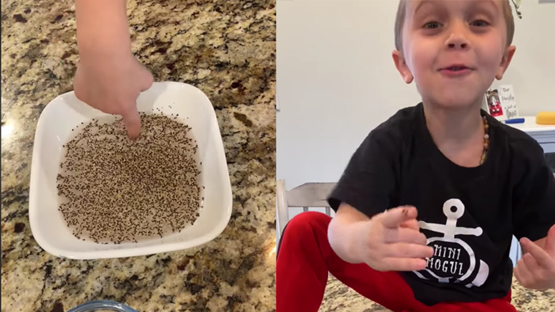 Parents Are Obsessing Over This Hack To Teach Kids About