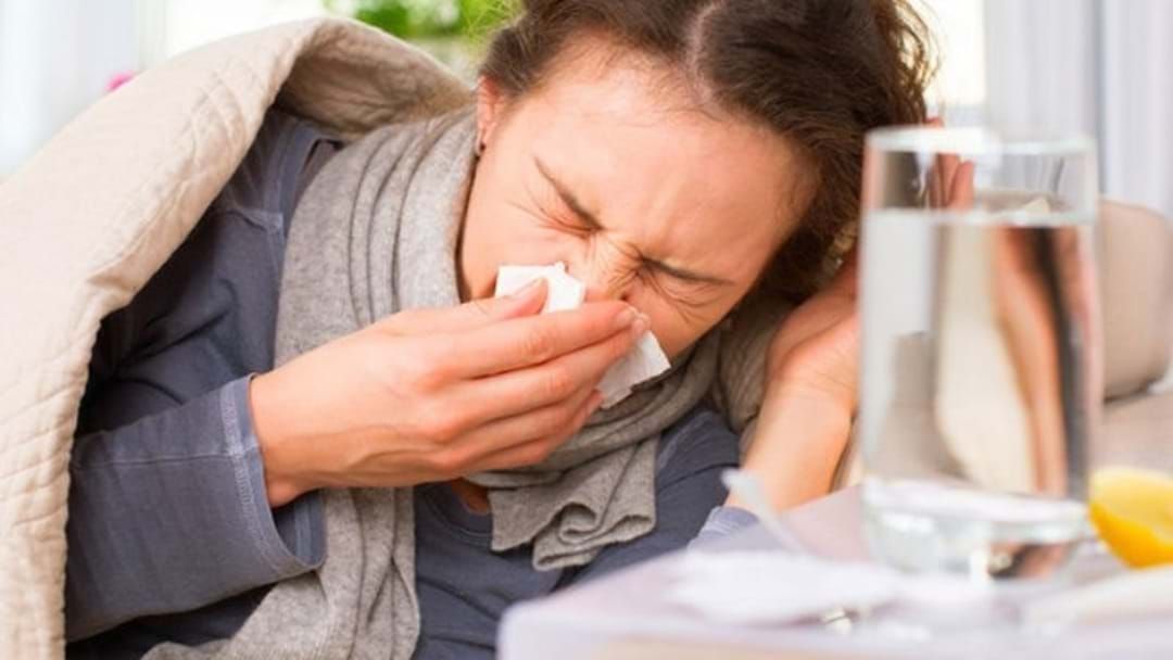 Article heading image for Brace Yourselves WA... Flu Season Has Arrived! 