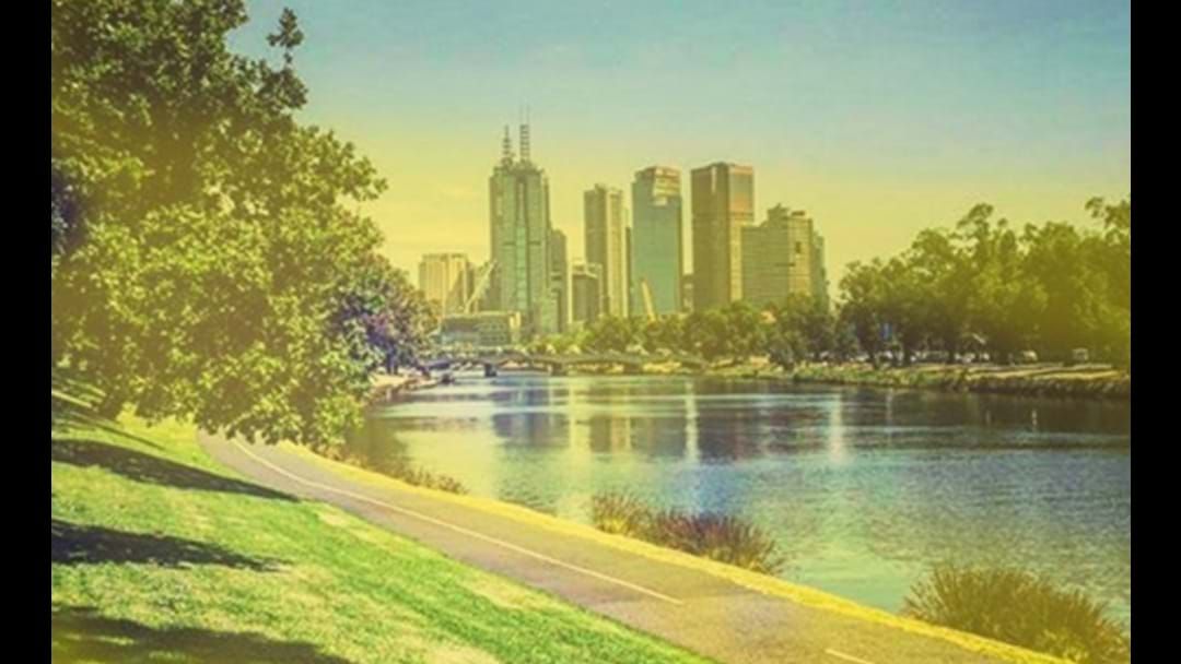 Article heading image for Melbourne Hayfever Sufferers Are Absolutely Copping It This Year