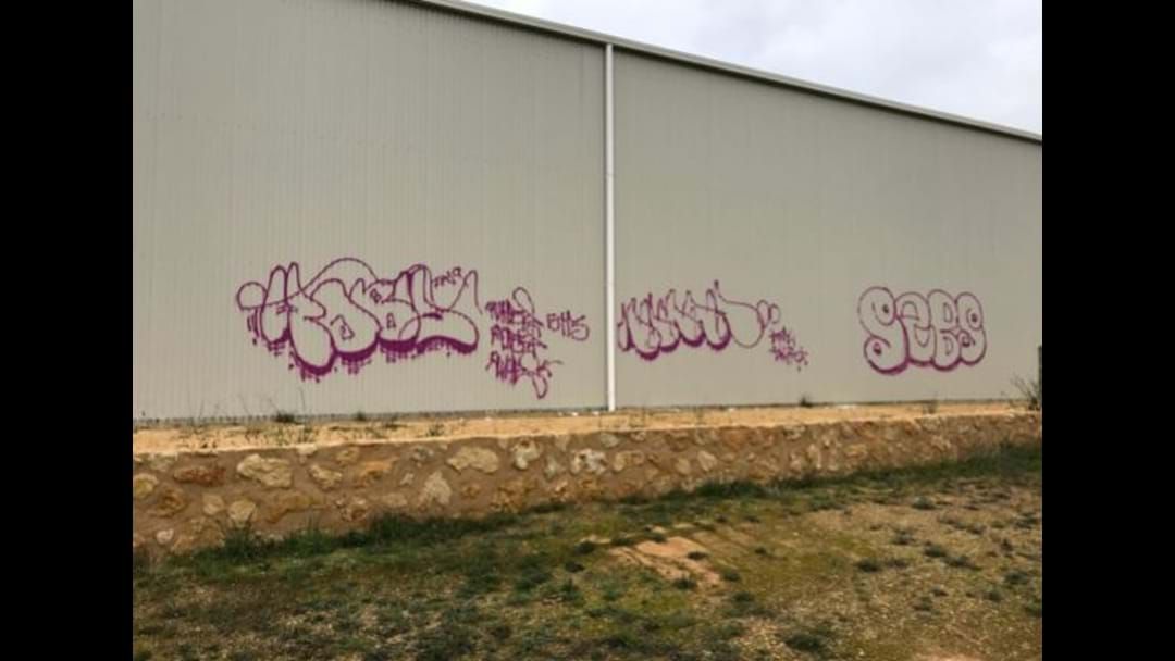 Article heading image for Naracoorte shed marked with graffiti