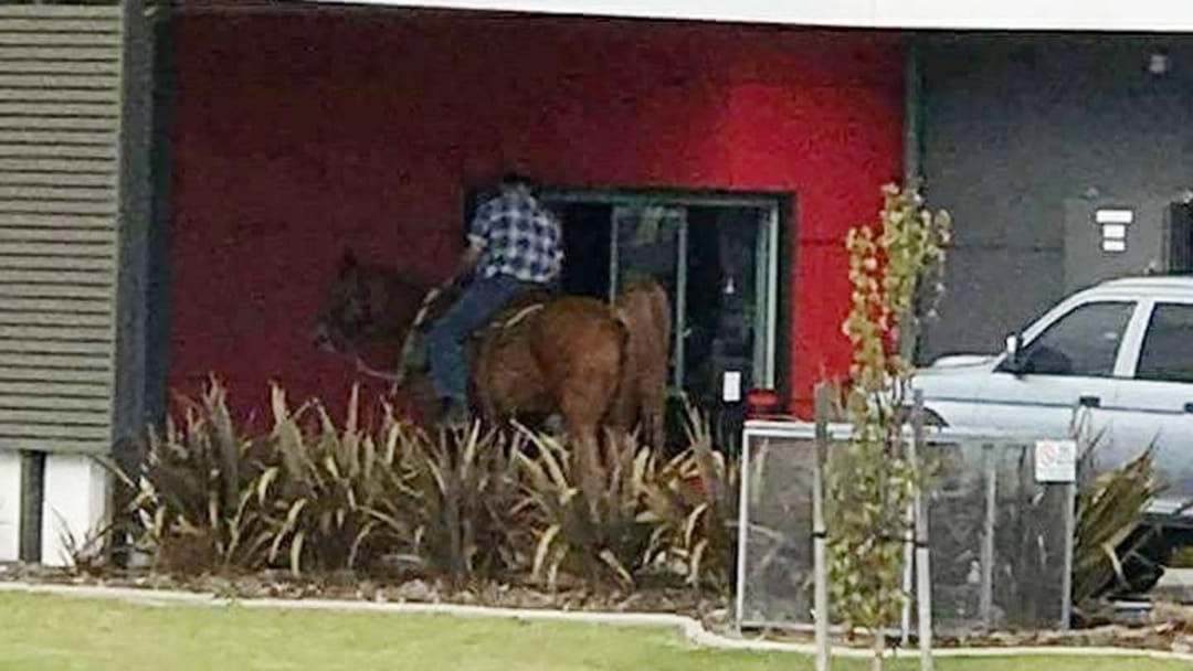 Article heading image for Bloke Tries To Get A Maccas Feed... On A Horse