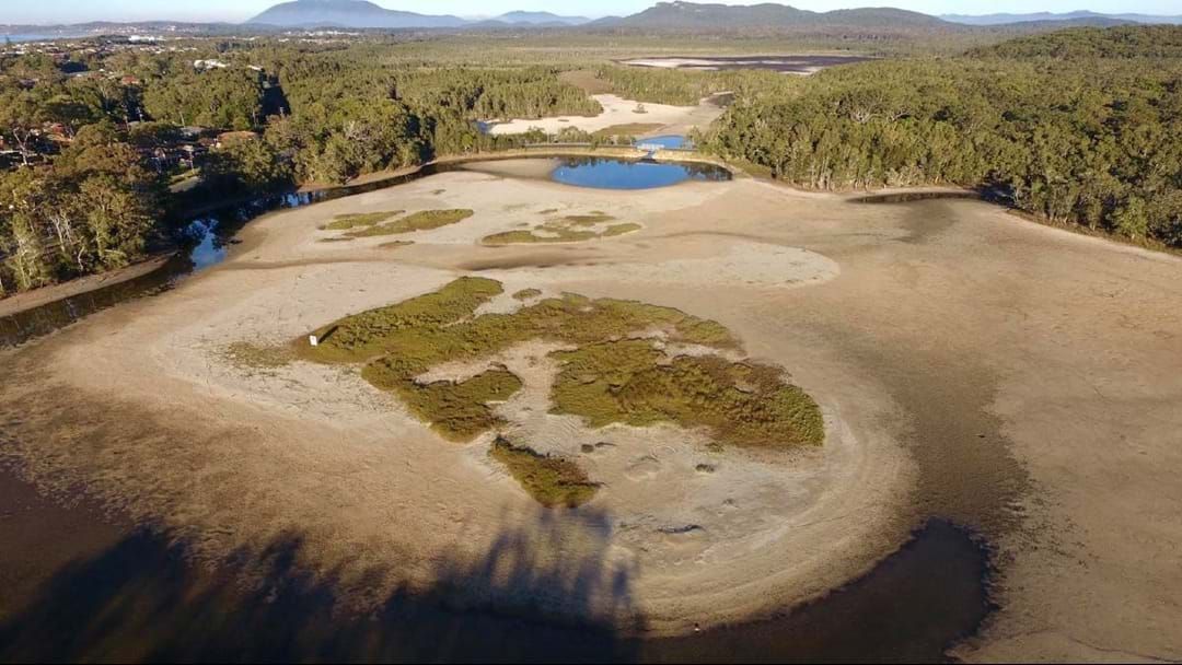 Article heading image for We're getting close to the trigger point to open Lake Cathie today!