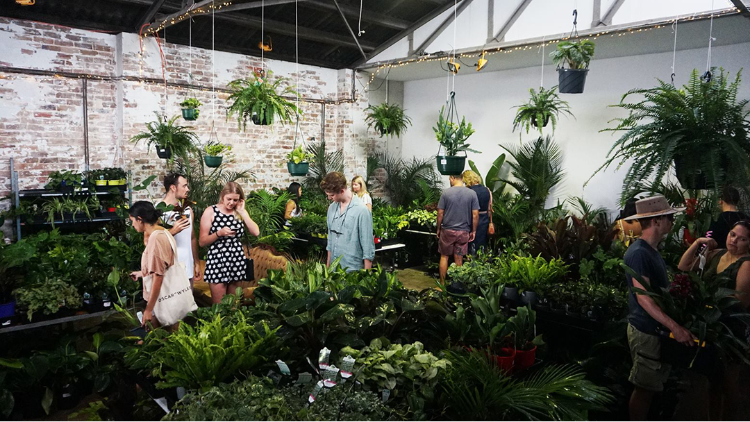 Article heading image for A Huge Indoor Plant Sale Is Popping Up In Sydney Next Month