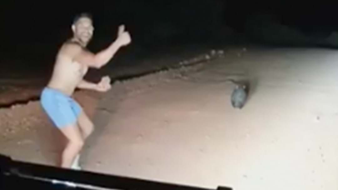Article heading image for Sickening Footage Emerges Of Off-Duty SA Cop Hurling Rocks At Wombat
