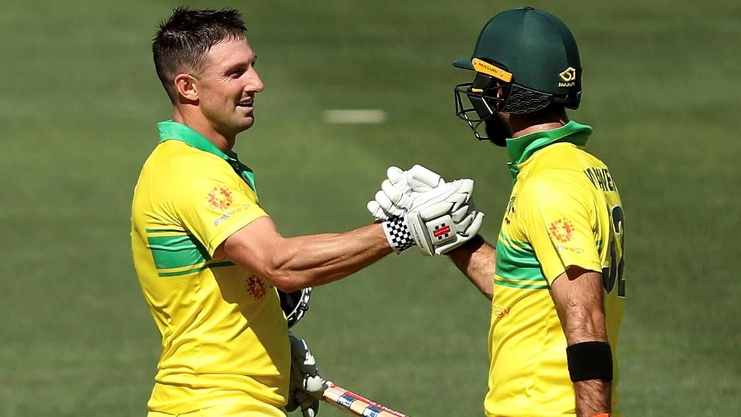 Article heading image for Shaun Marsh Ruled Out Of 2019 Cricket World Cup After Two Aussies Injured At Training