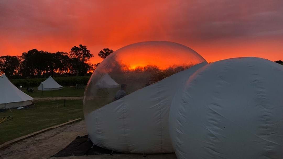 Article heading image for Sleep Under The Stars Without Getting Bit By Mozzies In SA’s New Bubble Tents!