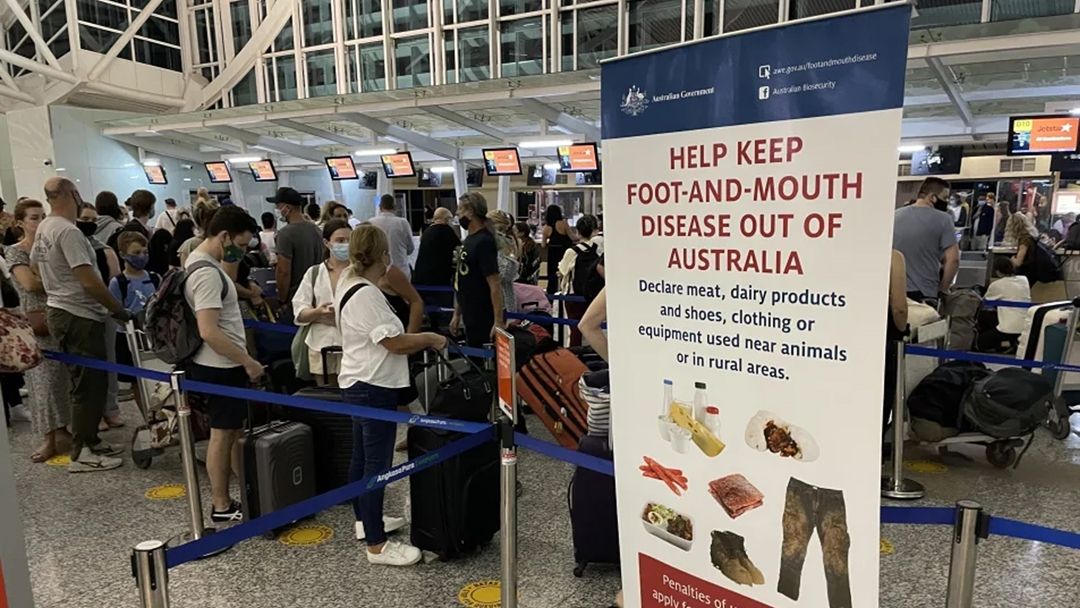 Article heading image for Shoe Sanitising New Biosecurity Measure At Australian Airports To Combat FMD