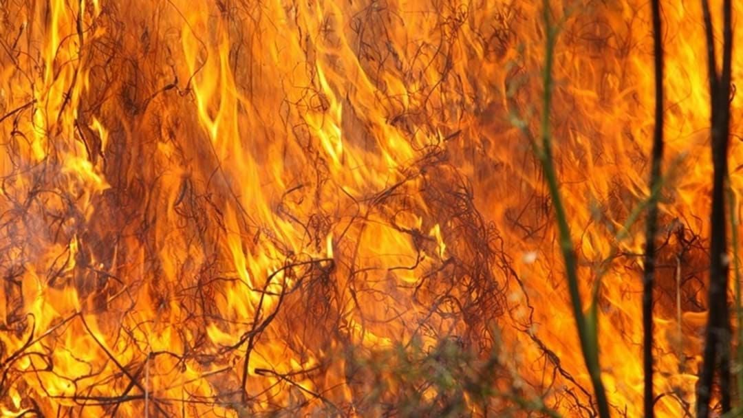 Article heading image for EMERGENCY: Residents Told Leave Now Amid Massive Sarabah Bushfire