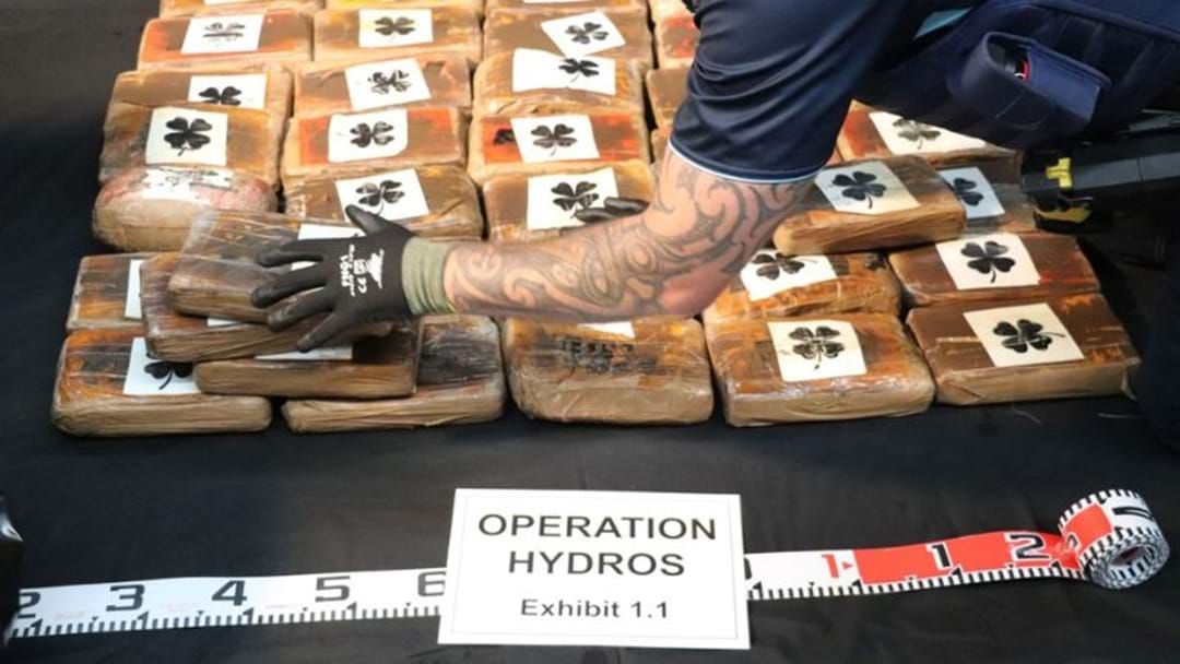 Article heading image for New Zealand Authorities Intercept 3.2 Tonnes Of Cocaine Bound For Australia