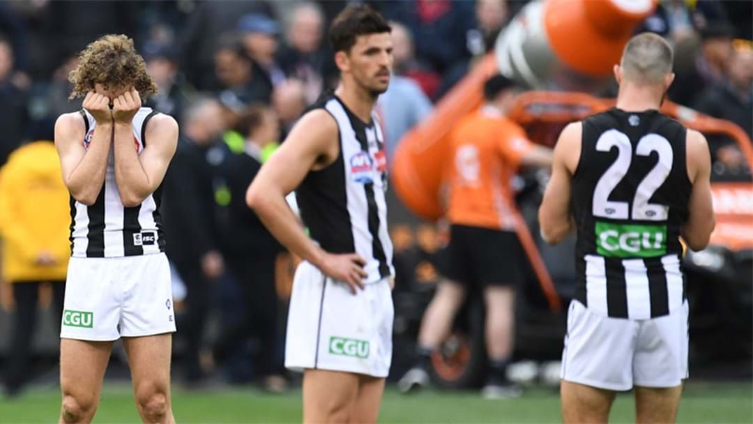 Article heading image for Collingwood Supporters Have Started A Petition To Overturn The Grand Final Result