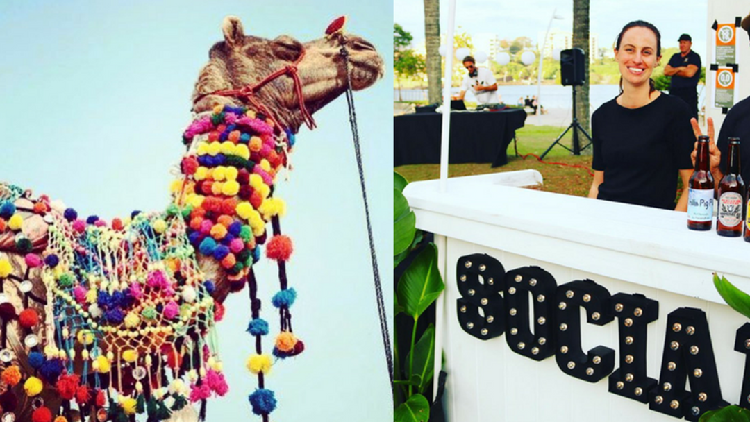 Article heading image for An adorable market with fancy camels lands on the Coast this Sunday