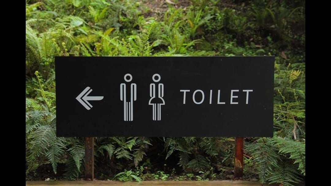 Article heading image for Do you have a favourite loo in FNQ? 