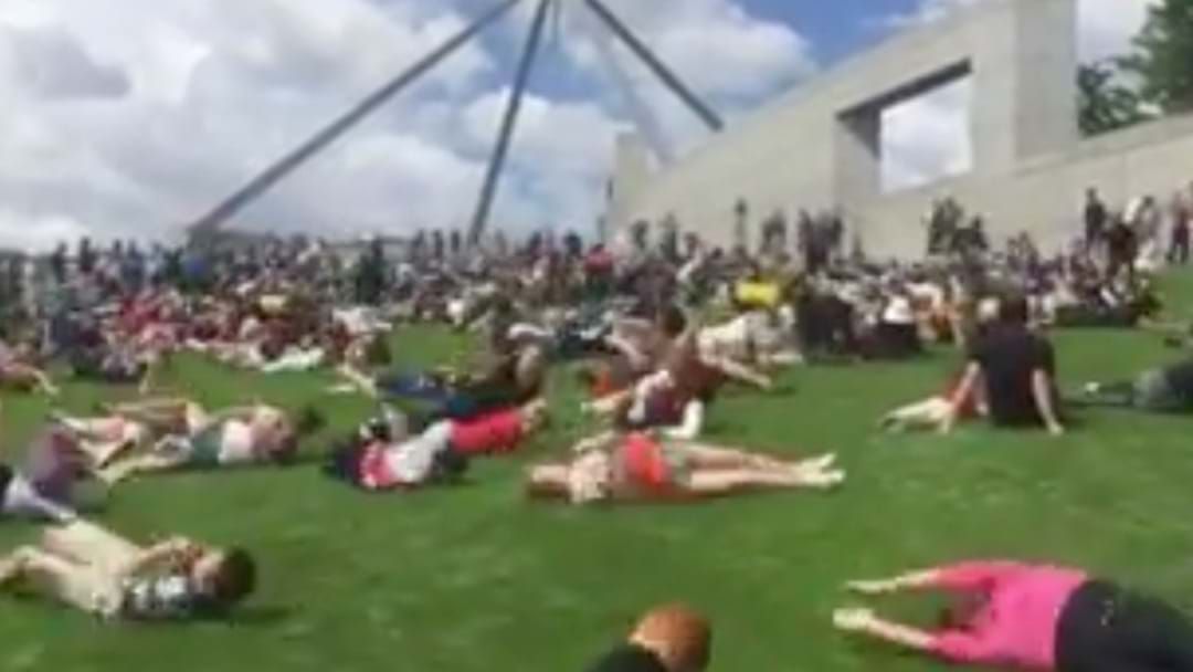 Article heading image for People Have Been Rolling Down The Parliament House Hill In Protest