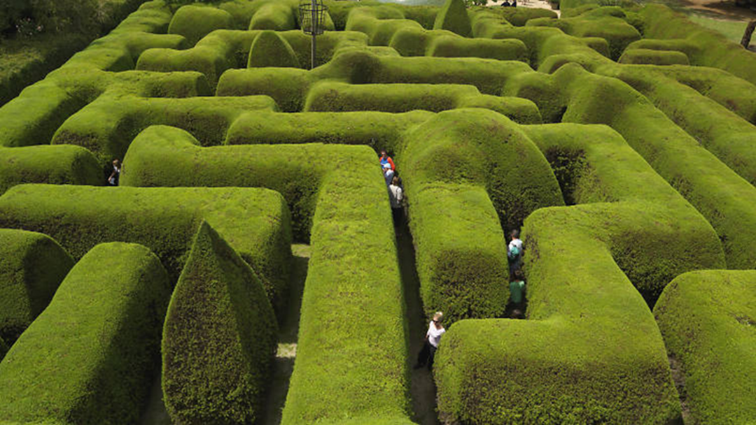 Article heading image for Have You Wandered Through Australia’s Oldest Hedge Maze Yet?