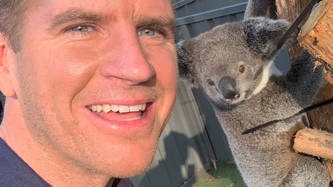 Article heading image for Sam Mac's Heartfelt Call From The Koala Hospital: "It's really, really confronting. It's hard to look at"