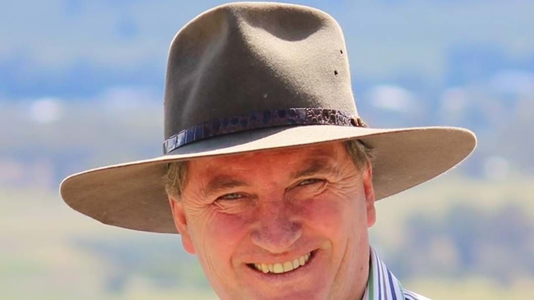 Article heading image for Barnaby Joyce is Apparently Struggling on $200,000 Per Annum