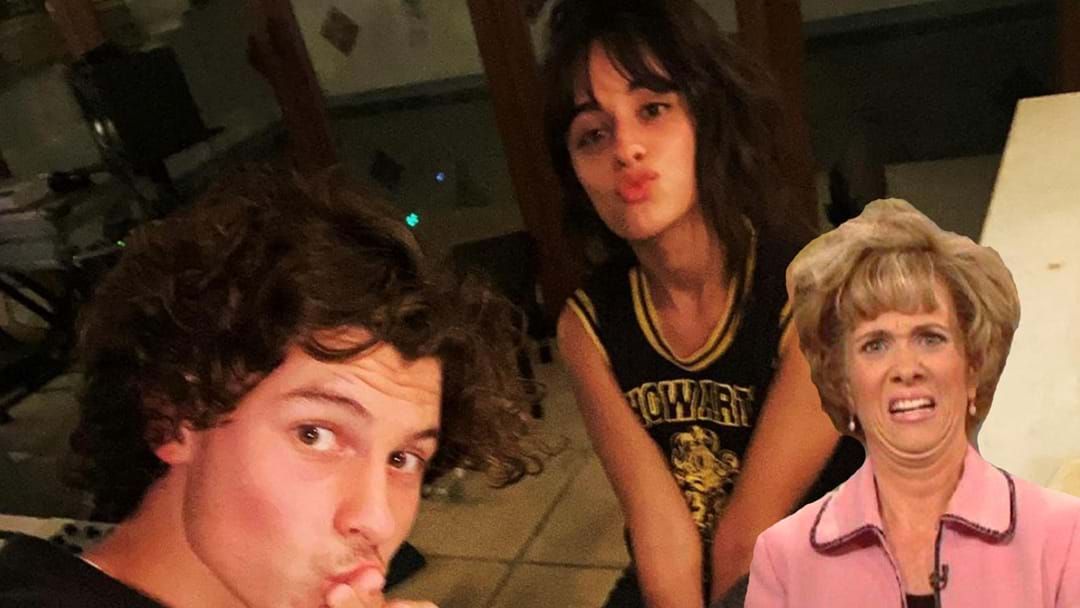 Article heading image for The Internet Has A Hilarious Reaction To Shawn Mendes Posting A Pic Of Him Kissing Camila's Feet