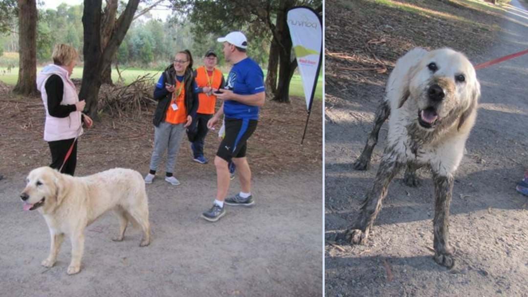 Article heading image for Want To Join In On The Warragul Parkrun? It's FREE! 