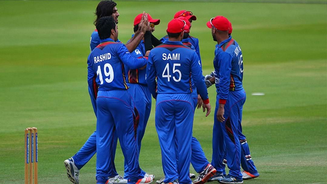 Article heading image for Afghanistan Just Destroyed New Zealand In The Under 19 Cricket World Cup Quarter Final
