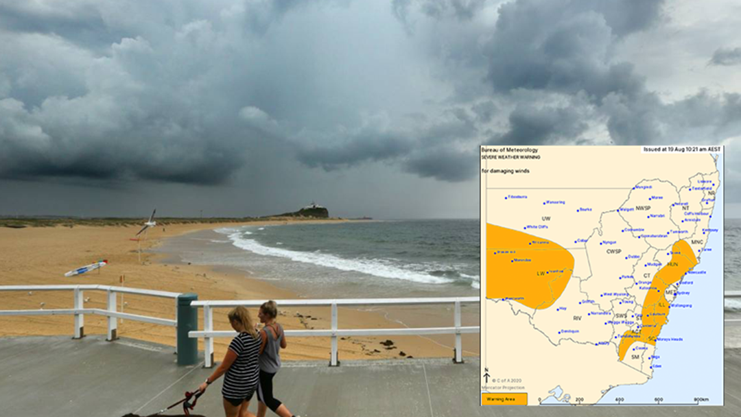 Article heading image for WARNING: DAMAGING WINDS All Across Newcastle Today and Tomorrow
