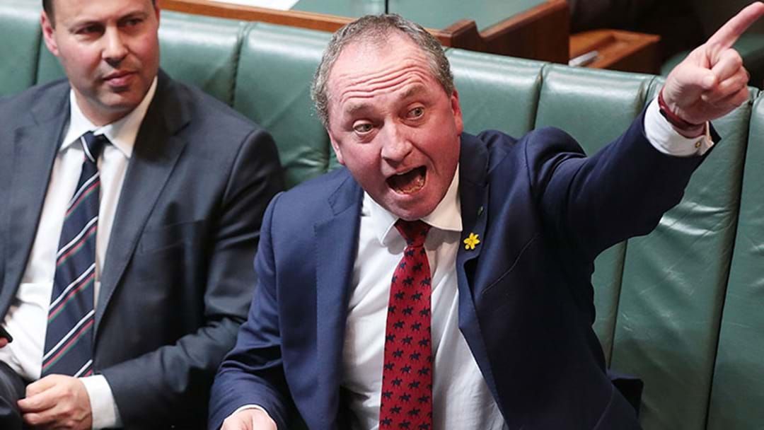Article heading image for Deputy PM Barnaby Joyce Said Ignorance Is Not An Excuse For Dual Citizenship Bungle