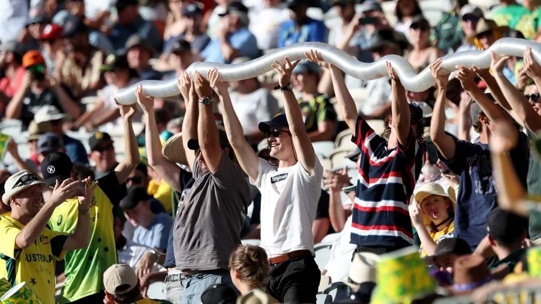 Article heading image for RIP Beer Snake: Plastic Cups Banned From Sydney Showground