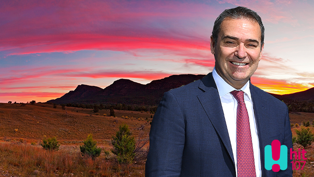 Article heading image for Premier Steven Marshall Talks Eased Restrictions and Regional SA