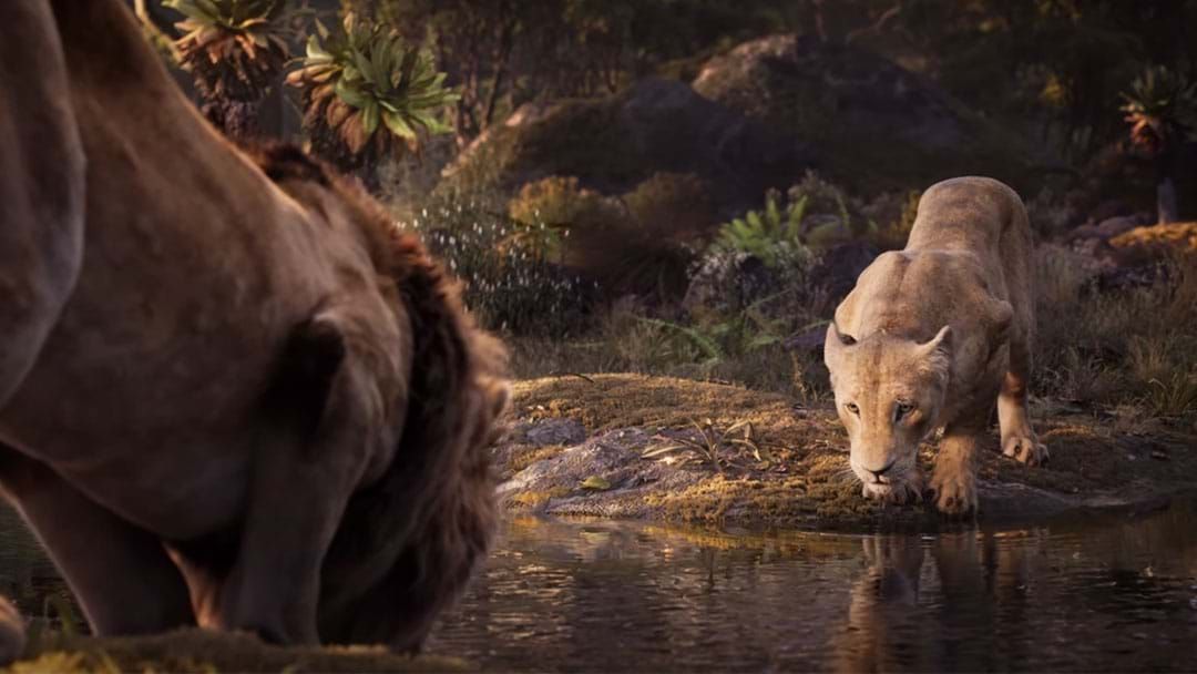 Article heading image for Disney’s New ‘Lion King’ Trailer Gifts Us Beyoncé’s Voice As Nala!