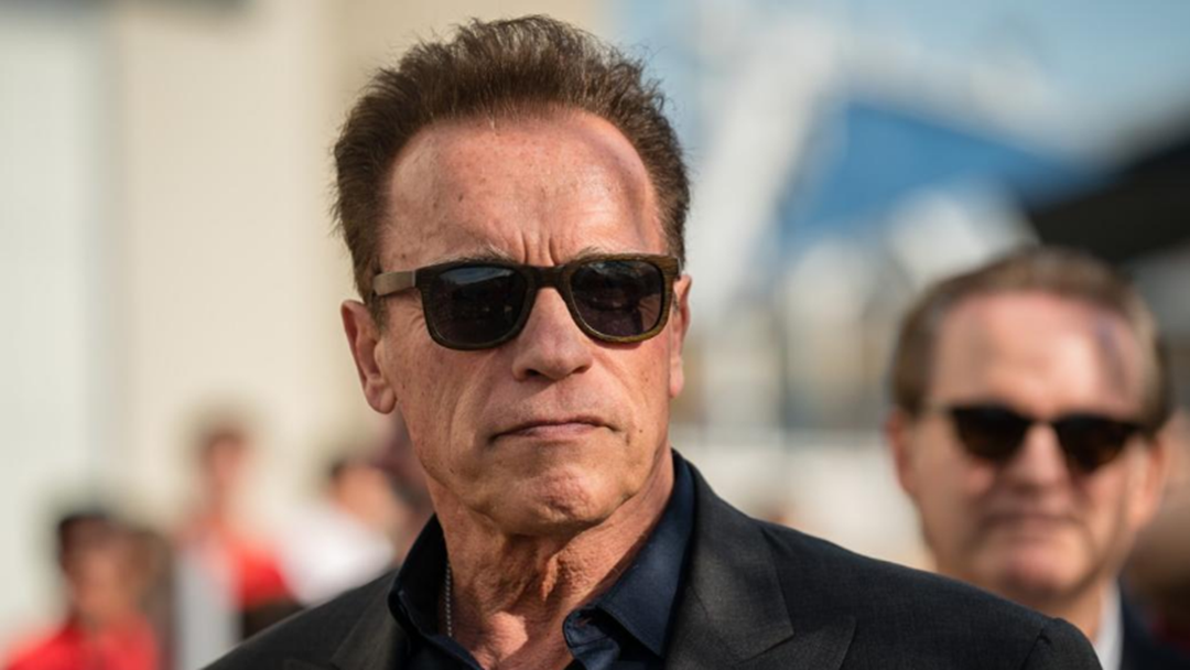 Article heading image for Arnold Schwarzenegger To Star In His First TV Series 