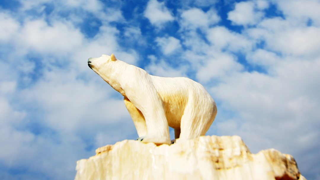 Article heading image for Cosi Loves To Collect Giant Things But This Polar Bear Takes The Cake