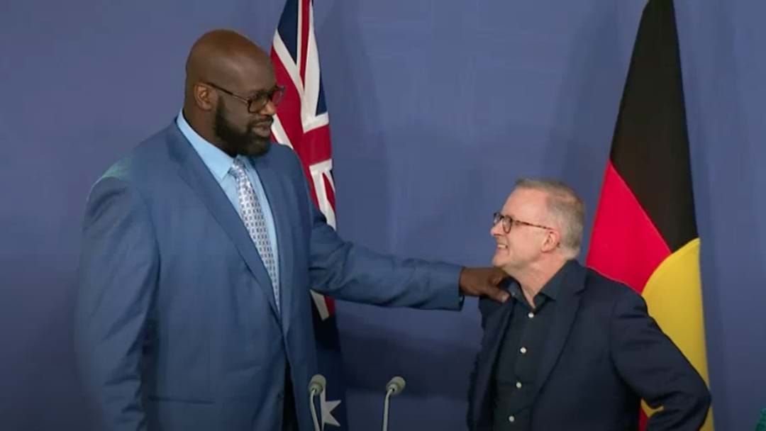 Article heading image for Albanese Asks People To “Chill Out” Over Shaquille O’Neal Press Conference 