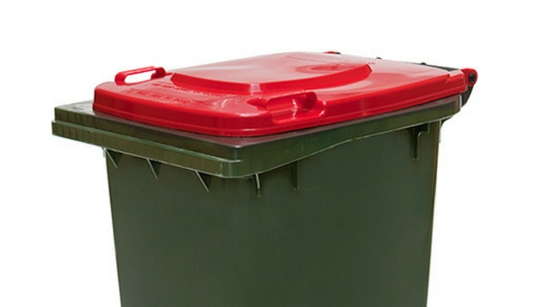 Article heading image for Extra Bin Pick Ups During Christmas in Coffs Harbour