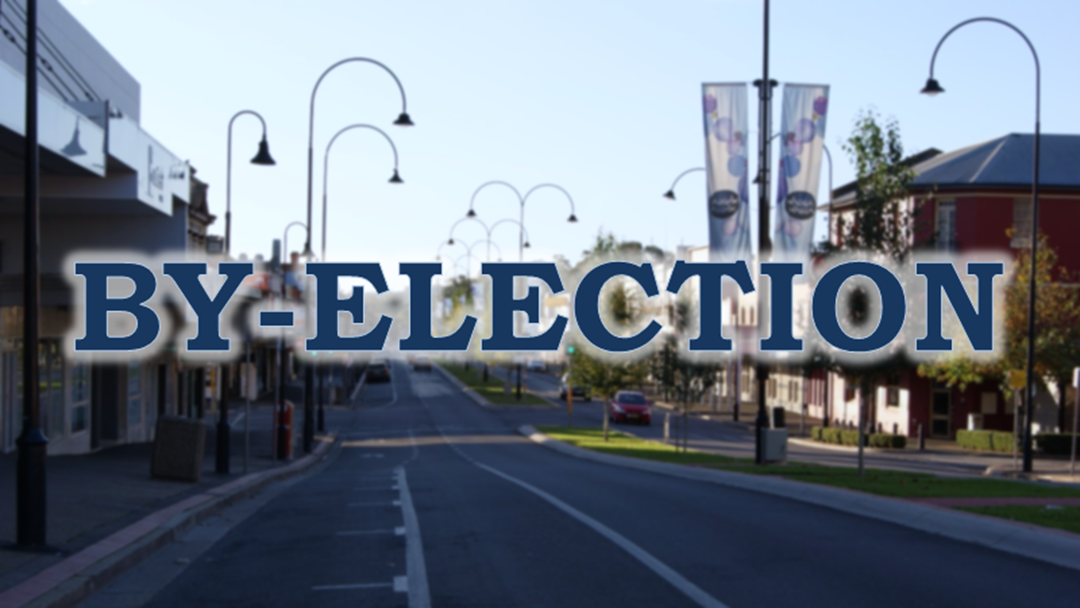 Article heading image for Luke Foley on the by-election campaign trail in Wagga