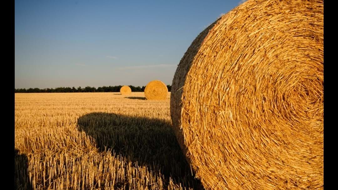 Article heading image for Harvest Bans Around Regional WA
