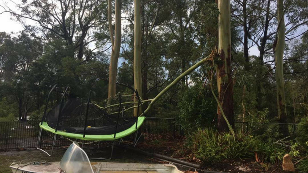 Article heading image for Clean Up Continues After Storms Hit Coffs Coast