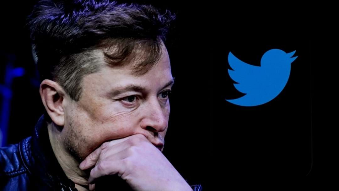 Article heading image for Elon Musk Asks Twitter Users If He Should Stand Down As CEO