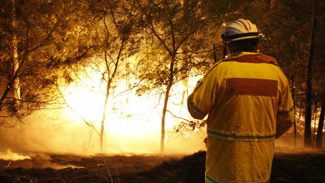 Article heading image for RFS Firefighter Accused Of Lighting Bushfires