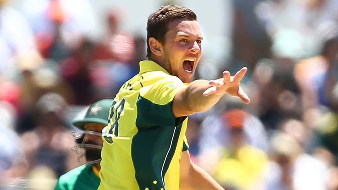 Article heading image for Josh Hazlewood Ruled Out Of Second ODI