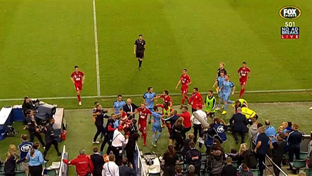 Article heading image for Adelaide Player Sent Off In FFA Cup Final For Attacking The Ball Boy