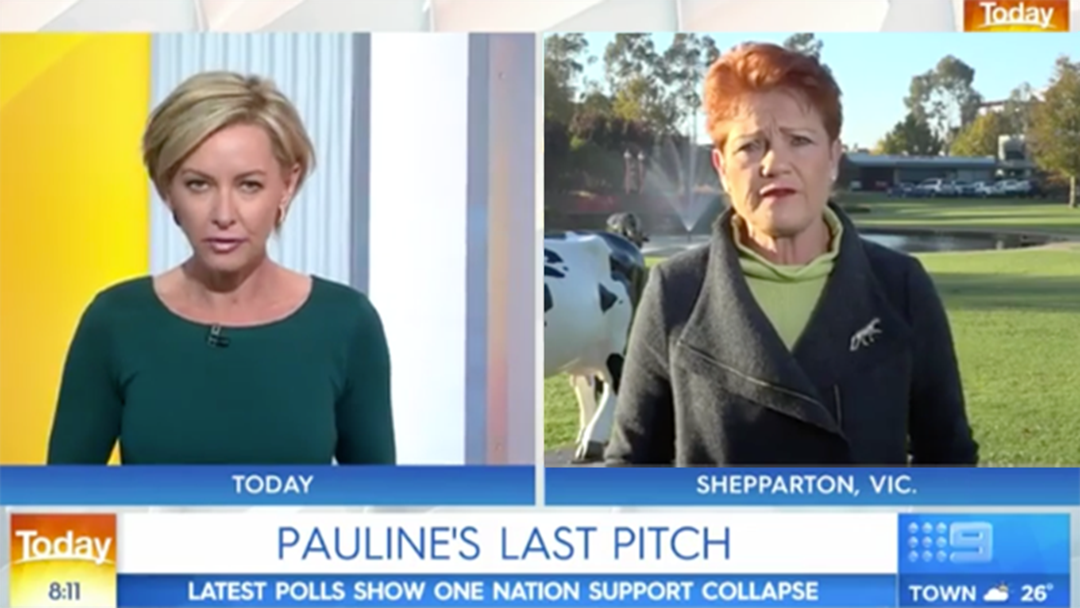Article heading image for Pauline Hanson Savages Today Show Host Deborah Knight During Live Cross 