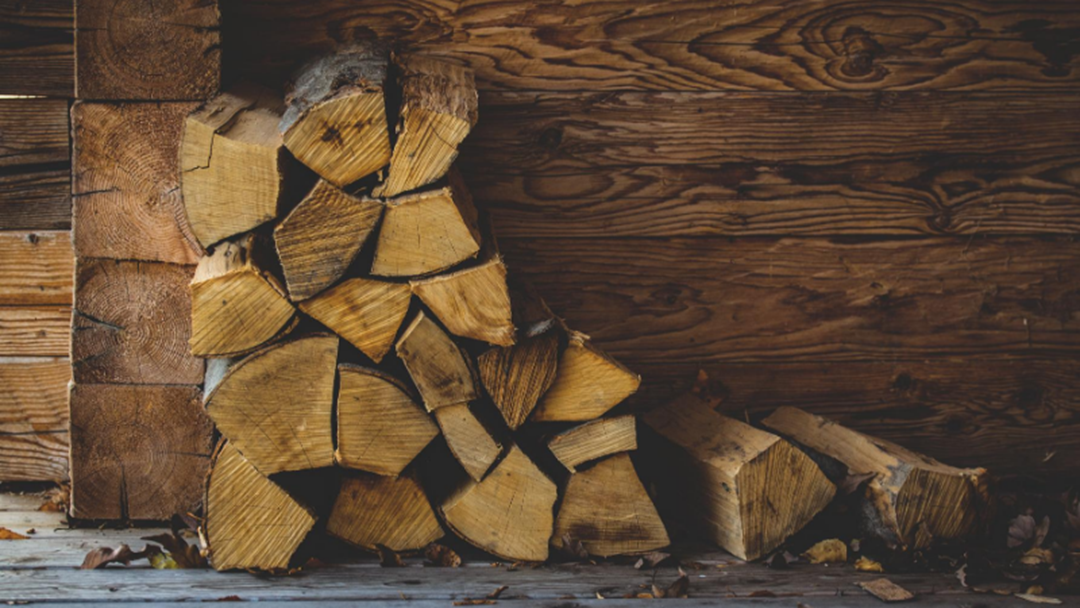 Article heading image for Firewood Black-Market Damaging Natural Eco-System 