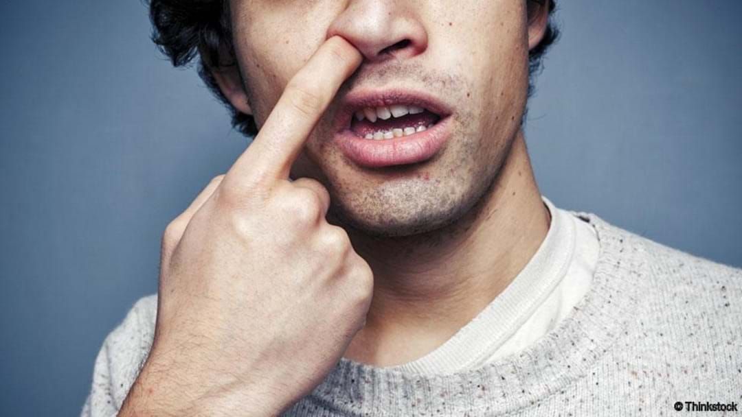 Article heading image for Picking your nose is good for you!