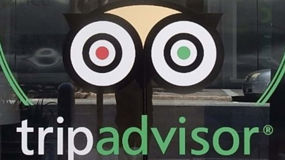 Article heading image for Meriton Fined By ACCC For 'Manipulating' TripAdvisor Reviews