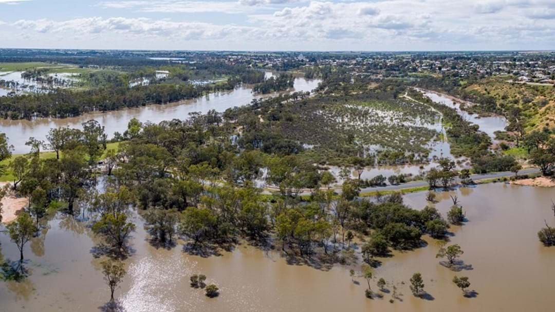 Article heading image for Body Of Missing Loxton Man Found In River Murray Floods
